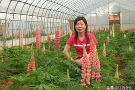 百年党史巾帼红 | 王小玲：“鲁冰花”因她而绚丽图片