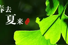 农村俗语“立夏雨不下，寡妇早改嫁”，啥意思？图片