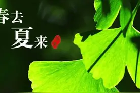 农村俗语“立夏雨不下，寡妇早改嫁”，啥意思？图片