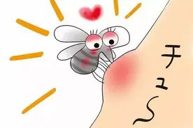 被蚊子咬后皮肤会很痒，这到底是怎么回事？图片