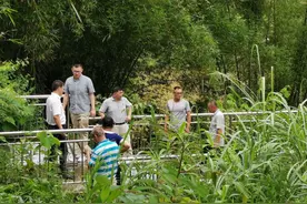 审计说|感悟百年历史浩荡 助力乡村全面振兴图片