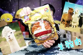 开箱试吃粉丝寄过来的羊驼肉，羊驼那么可爱，怎么可以吃它肉肉
