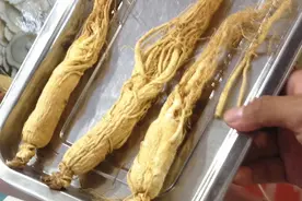 知名男歌手买的海狗丸是啥？可以治疗“透支”的身体吗？图片