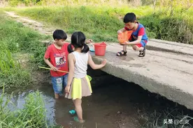 城里长大的孩子回到农村老家不认识小麦，学种菜烧火被姥爷嫌弃图片