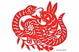 农村俗语：“蛇缠兔辈辈富”是真的吗？蛇与兔结合真的能富裕吗？图片
