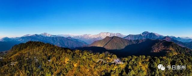 上山尝鲜去！第九届牛尾笋采摘体验季启动