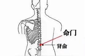 一味清代名方：安肾汤，温肾暖脾，祛湿化浊，可调理脾肾阳虚症图片