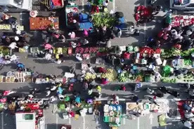 长春8个人气超火爆的早市，品种多多感受人间烟火气图片