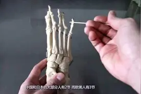 中国人为什么要比欧美人少两块骨头？图片