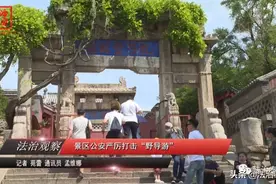 严厉打击“野导游”，维护泰山旅游形象图片