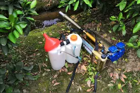 临海涌泉蜜桔初果期，我使用脉冲弥雾机帮父母施叶面肥，分享知识图片