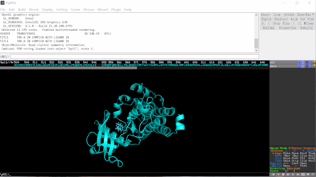 科研论文作图｜零基础用Pymol绘制蛋白质-小分子结合模式图