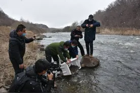 爱护小生灵，林蛙“动保站”在行动图片