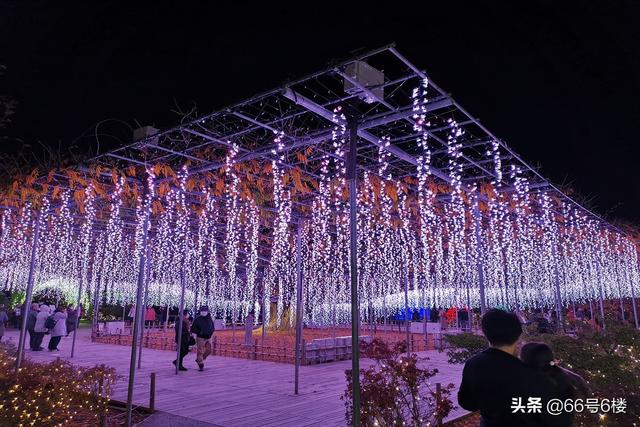 鬼灭之刃动画场景还原，日本公园展出奇迹的紫藤花