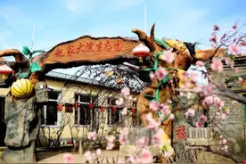 在这儿踏秋，绝不能错过“玉米的自由”！图片