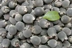 这玩意儿竟然这么多功效！美肤一绝图片