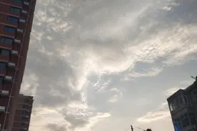 一天的工作结束，让我看到了自己身上严重的弱者思维图片