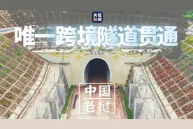 奋战4年 中老铁路唯一跨境隧道贯通图片