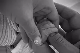 水果姐，生了图片