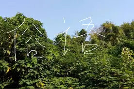 农村俗语：“不怕男人扰，就怕女人笑”，说的是什么意思？图片