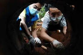 垃圾堆下挖出军人遗骸：躺在"别致"棺材里，平均年龄仅20岁图片