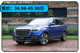 一开口就是30万！售价敢于硬刚BBA的国产车长啥样？图片