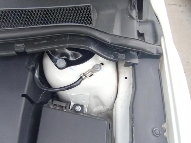 期待已久的经典福克斯两厢版，胖哥已顺利拿下，1.8排量手动挡