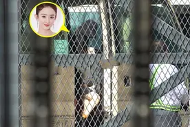 赵丽颖回8000万北京豪宅，乘百万豪车现身，离婚后状态远胜冯绍峰图片