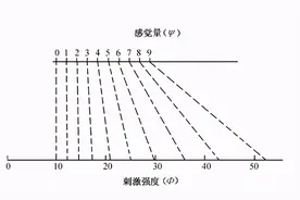 科学心理学的起源——韦伯图片