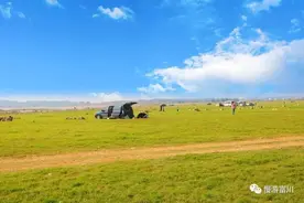太美了！富川湿地公园你来了吗？图片
