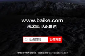 头条百科测试版来了，欢迎大家使用和吐槽图片