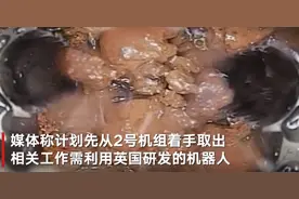 日本计划2022年利用机器人取出福岛核电站核燃料残渣 此前受疫情影响推迟工作图片