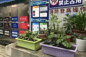 垃圾厢房有花香！潍坊新村街道这位保洁员成为居民心中的“平凡英雄”【创城进行时】图片
