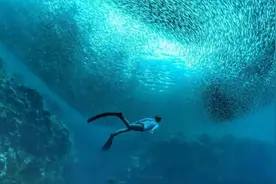 人类裸潜和燃油车涉水极限都很低，但XC40纯电版呢？图片