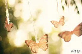 已婚女人，别和闺蜜走得太近，可能是一场灾难图片