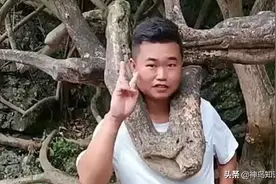 视频 | 男子头钻树杈拍照，上一秒开心“比耶”，下一秒变成别人眼中的“风景”……图片