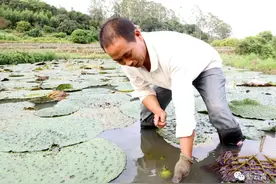 云霄：坚守扶贫一线的上坂村第一书记，一同翻翻他的工作记事本！图片