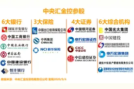 「一图看懂」股市里赫赫有名的国家队都有谁图片