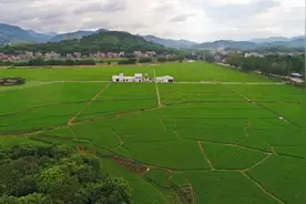 镇（街）村干部谈学习贯彻云浮市委全会精神⑲ | 陈致远：发挥本地优势 开创镇域经济发展新局面图片