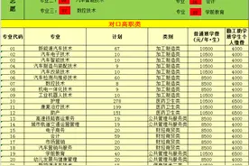 四川希望汽车职业学院2020年对口高职招生征集志愿公告图片