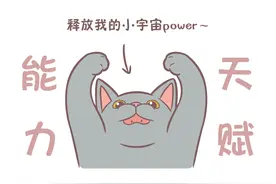 猫咪真有9条命？从高处落下并无外伤？别用你的天真轻信会有奇迹图片