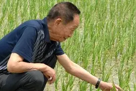 今天袁隆平90岁了，节约粮食是送给他最好的生日礼物图片