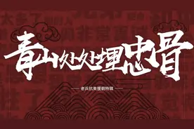 我参加了那场伟大战争丨青山处处埋忠骨图片