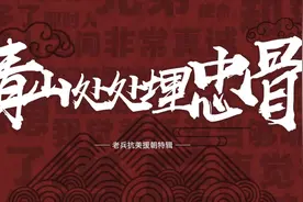 我参加了那场伟大战争丨青山处处埋忠骨图片