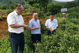 潮州农商银行改制开业两周年：初心不改农商情，勇立潮头再扬帆图片