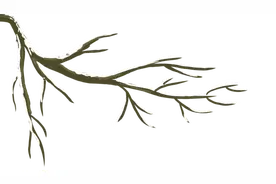 中推全国针灸特技巡回讲习班（重庆站）图片