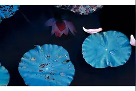 禅心似水（静）图片