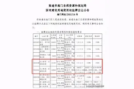 总投资约50亿！299米超高层地标！“海门中心”落锤图片