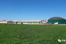 西班牙养猪业成功的原因，是否值得我们借鉴图片