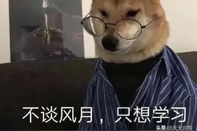 秋天，狗子咳嗽喷嚏打个不停，这是图片